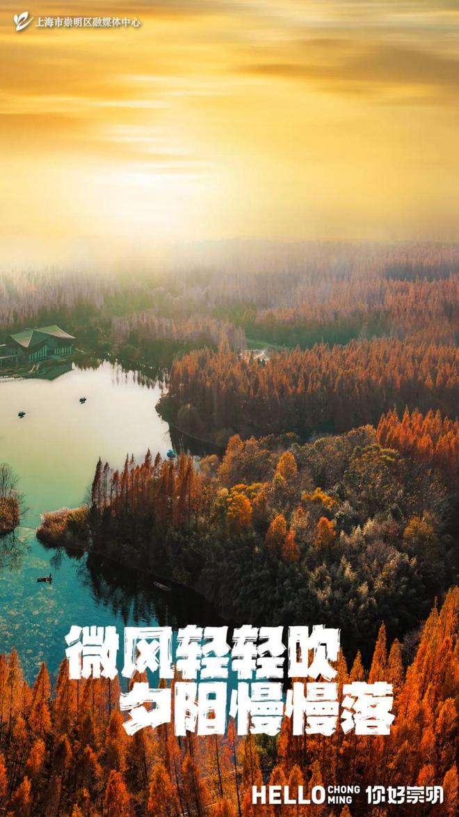 “滧”摇到崇明七滧河爱游戏app“滧”啊(图1)