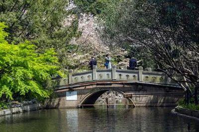 售楼处电话【】中興傲舍享受繁华便捷!ayx爱游戏app测评@万科中興傲舍(图24)